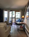 Aspen<br/>Bountiful, Beautiful Aspen | Long Term or Seasonal