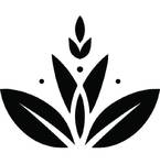 Lotus & Lavender, LLC - Massage Wellness