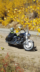 Yamaha Roadliner 2006