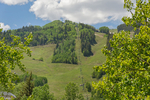 Aspen<br/>Large 1 BD 1 BA 700 Sq Ft Condo (in the Core) 210 E Cooper Ave