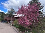 EagleVail<br/>EagleVail Duplex