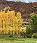 Woody Creek<br/>Woody Creek Ranch House-