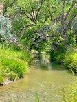 Paonia<br/>River Springs Ranch - 72 acres