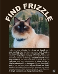 LOST CAT<br/>HELP FIND FRIZZLE