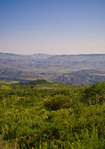Wolcott<br/>10+ Acres in Travis Creek | MLS#: 1014423