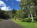 Aspen<br/>1BD 1BA Brush Creek carriage house