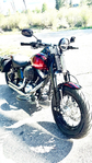 2008 Harley Davidson Crossbones Softail 2008